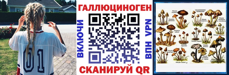 дарнет шоп  Заинск  Псилоцибиновые грибы мухоморы 